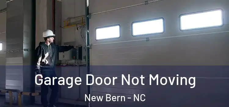  Garage Door Not Moving New Bern - NC
